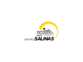 Grupo Salinas